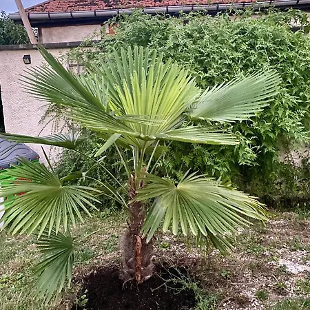 Maison Cosy Et Chic Dom wakacyjny