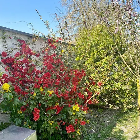 Maison Cosy Et Chic Plancy