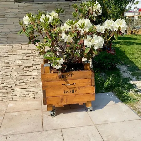 Maison Cosy Et Chic Plancy