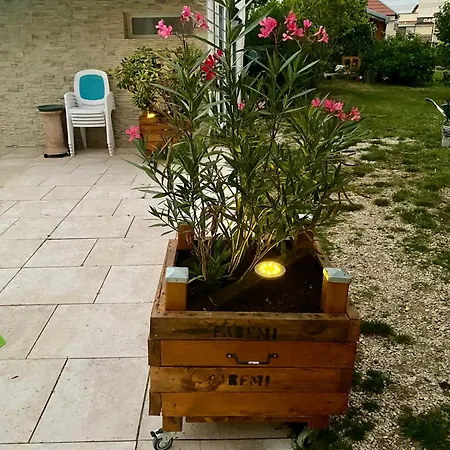 Maison Cosy Et Chic *